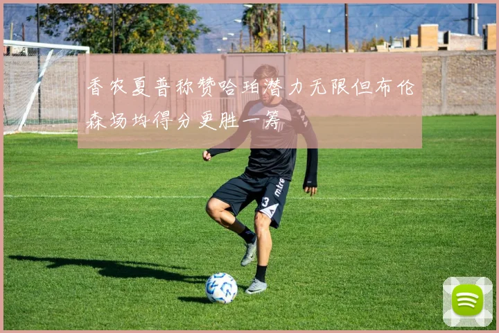 香农夏普称赞哈珀潜力无限但布伦森场均得分更胜一筹