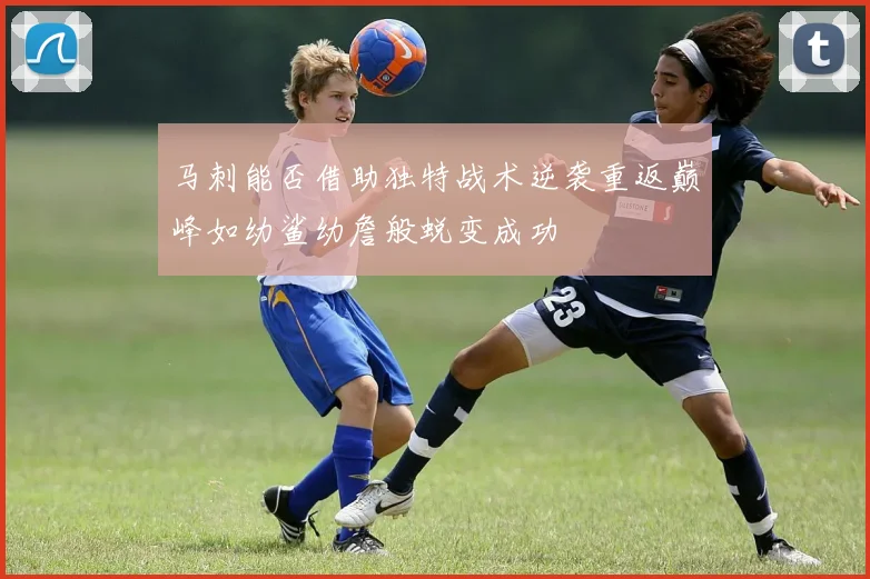 马刺能否借助独特战术逆袭重返巅峰如幼鲨幼詹般蜕变成功